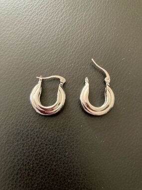 Brook & Bloom Polished Silver Hoop Earrings - Contemporary Chunky Style